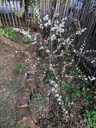 IMG_5961.jpeg
