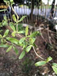 IMG_5962.jpeg
