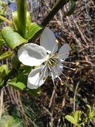 IMG_20250401_125147.jpg