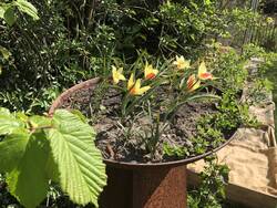IMG_6176.jpeg