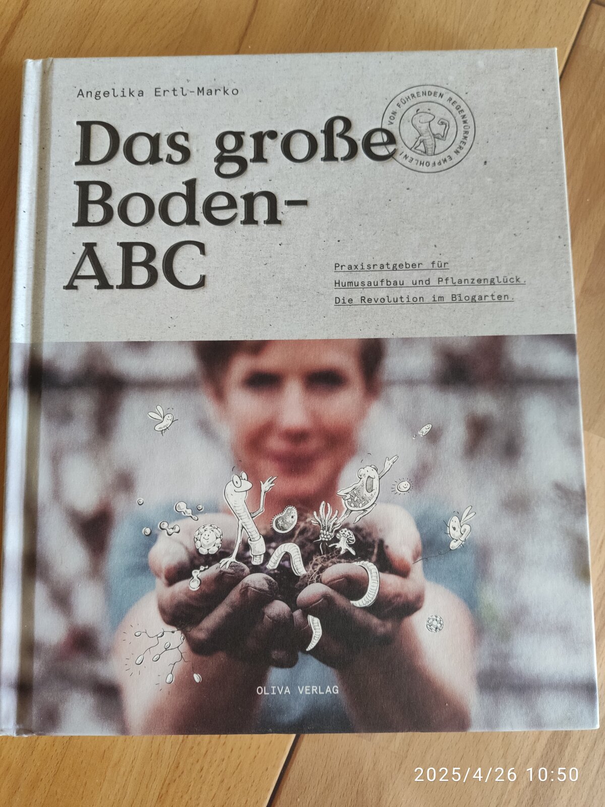 Bild