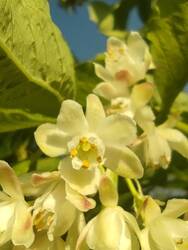 IMG_20250429_081059.jpg