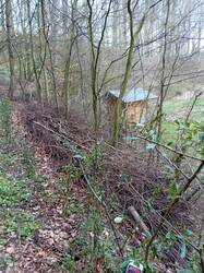 Insgesamt ca. 70 Meter Benjeshecke als Außenbegrenzung der Pufferzone