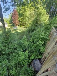 20250506_090951.jpg