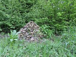 20250506_092041.jpg