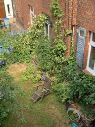 IMG_3418.jpeg
