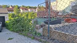 20250514_080919.jpg