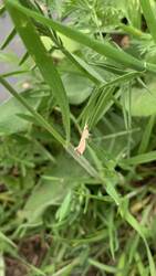 IMG_9132.jpeg