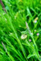 20250520_205028.jpg