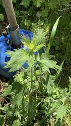 IMG_9180.jpeg