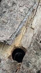 IMG_9287.jpeg