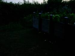 IMG_20250626_073500.jpg