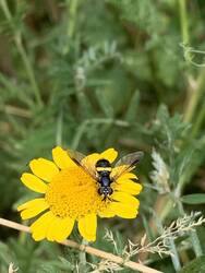 IMG_9677.jpeg