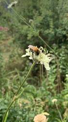 IMG_9660.jpeg