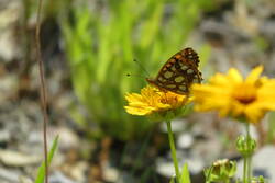 IMG_3854.JPG