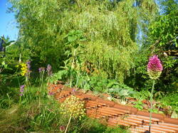 silvestris06.jpg