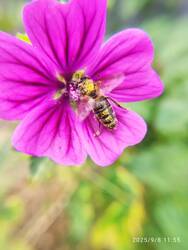 IMG_20250908_115535.jpg