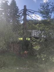 IMG_4091.jpeg