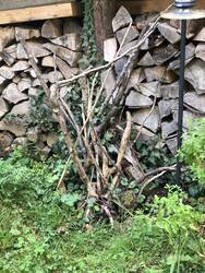 IMG_4087.jpeg