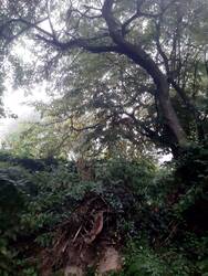20250909_075638.jpg