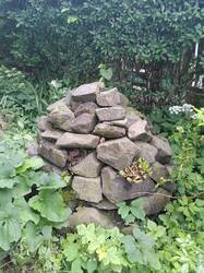 IMG_20250607_104114.jpg