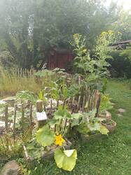 IMG_20250716_090000.jpg