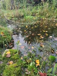 IMG_20251015_101248.jpg