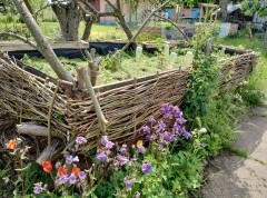 Aus insgesamt 9 4-6 Meter hohen Lebensbäumen sind Hochbeete entstanden, die auf einem Podest aus Grobholz/Stuken und Benjesumrandung (Stangen und Grünschnitt der Thujas) aufgebaut sind.