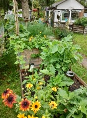 Der Garten wächst.....