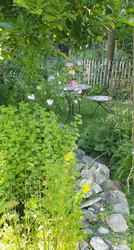 bild garten teich.png