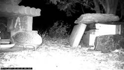 großer Durst_Moment.jpg