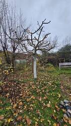 Südspitze Berlepsch