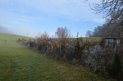 Pufferzone Wiese links.JPG