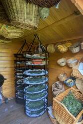 Trockenraum für Heilpflanzen