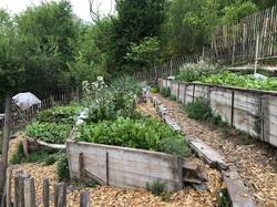 Ertragszone terrassierter Hang