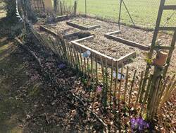 Noch nicht viel zu sehen im Bauerngarten