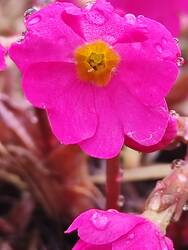 IMG_20260314_125620.jpg
