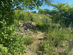 IMG_6797.jpeg
