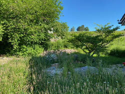 IMG_6618.jpeg