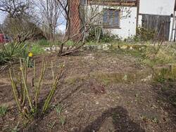 20260329_164412(1).jpg