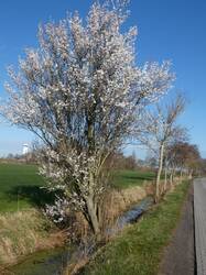 signal-2026-04-01-14-46-10-132.jpg