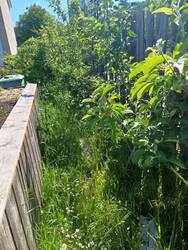 20260525_160753.jpg