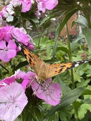 IMG_6123.jpeg