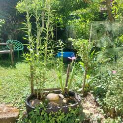 20260613_111457.jpg