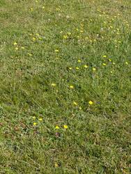 PXL_20260606_081050114.jpg