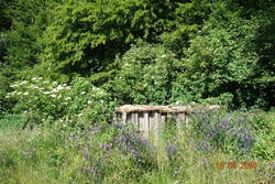 Schweinestall, davor Naschgarten und Wildblumen