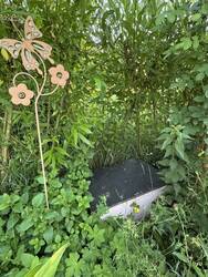 Igelhaus unter Bibernellrose mit Kopfweidenzaun im Hintergrund