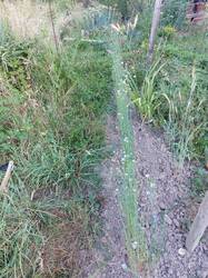 20260624_073010.jpg