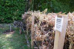 CJMetz-1040906.JPG