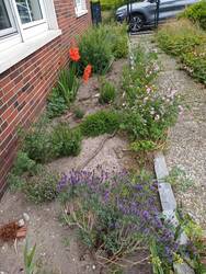 20260705_094840.jpg